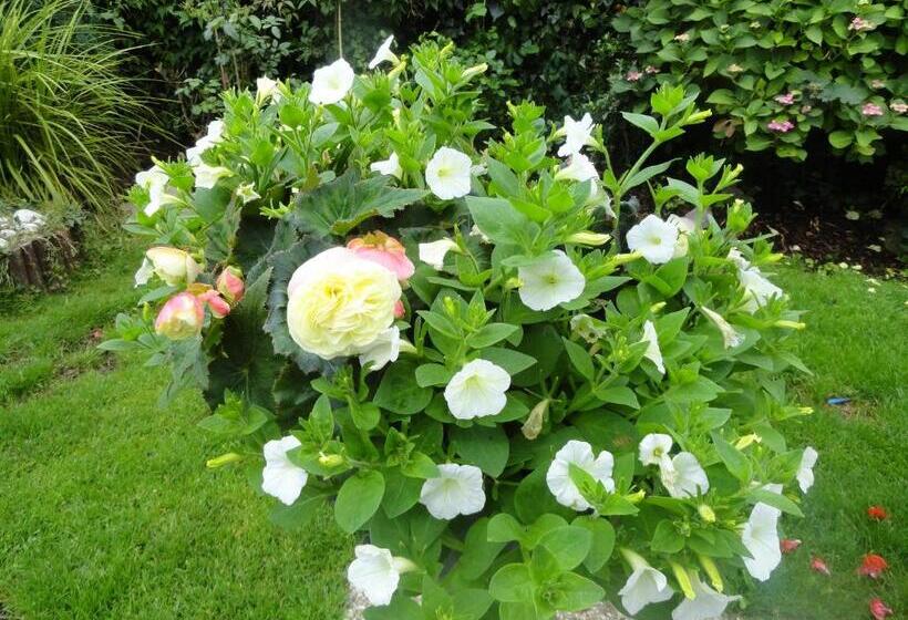 فندق Orley House B&b