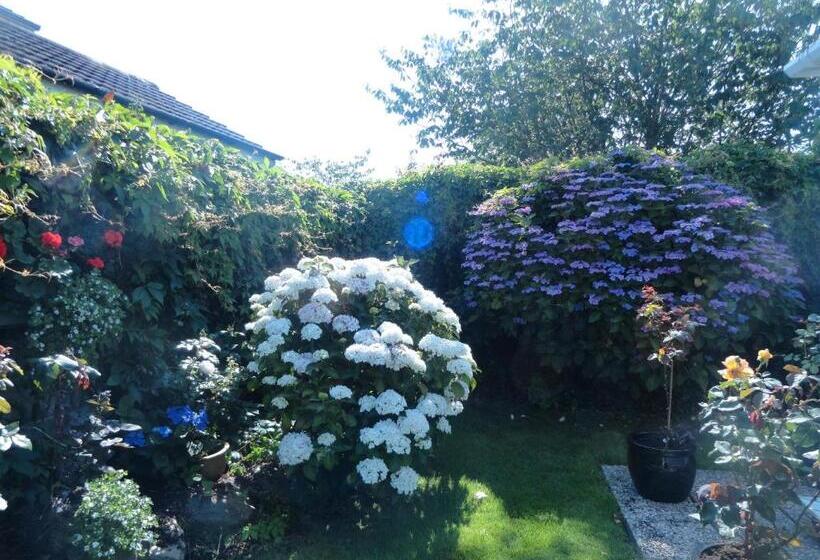 فندق Orley House B&b