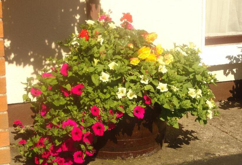 فندق Orley House B&b