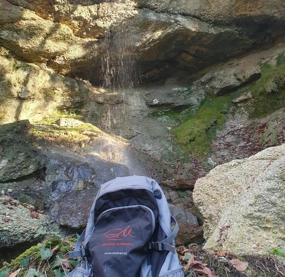 호텔 Restaurant Mohren