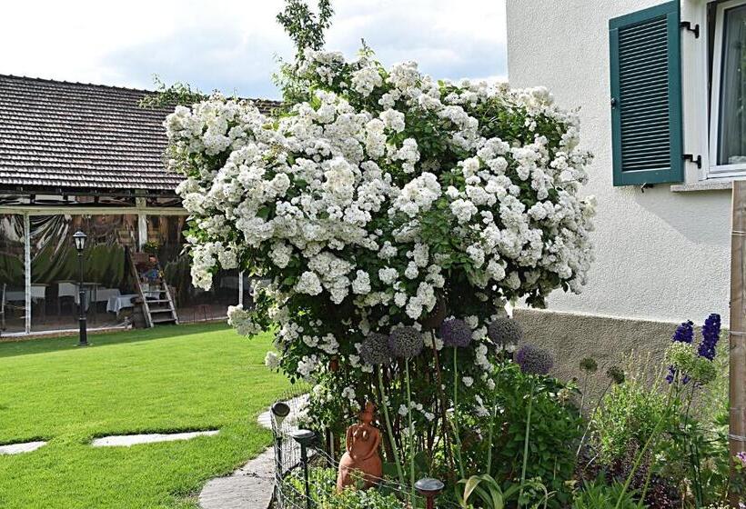 호텔 Restaurant Mohren