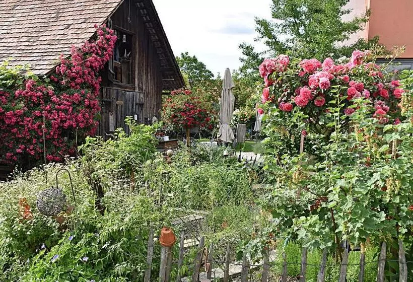 호텔 Restaurant Mohren