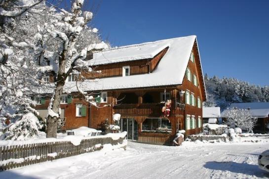 Отель Gasthaus Schäfle