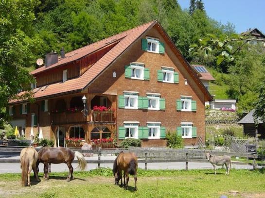Отель Gasthaus Schäfle