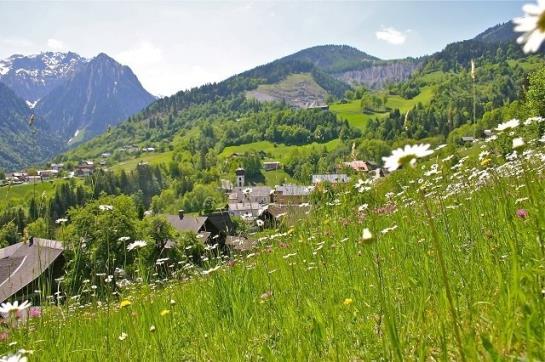 Отель Gasthaus Schäfle