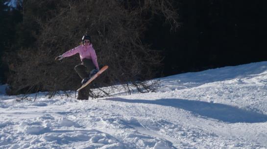 Отель Gasthaus Schäfle
