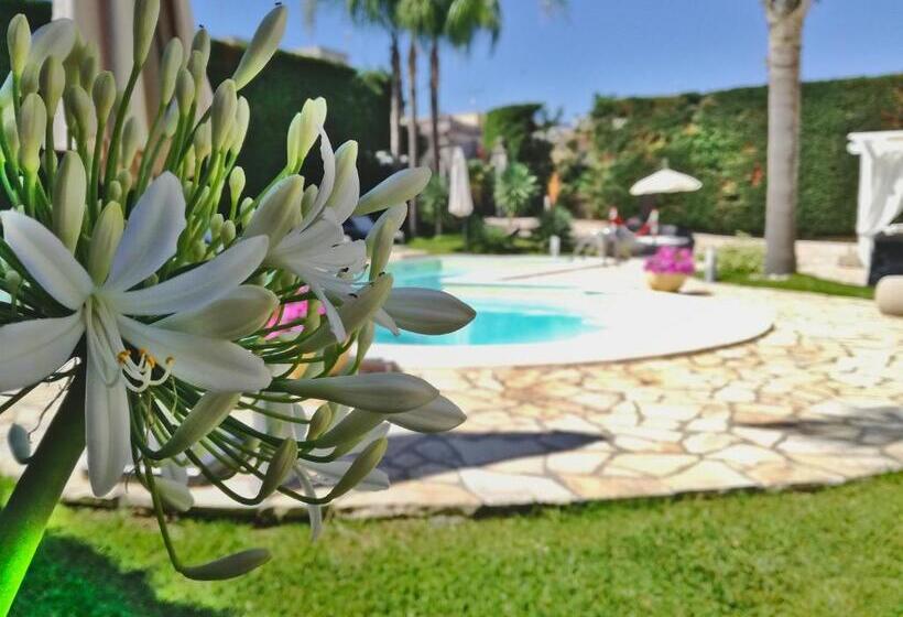 בית מלון כפרי Vigne Vecchie