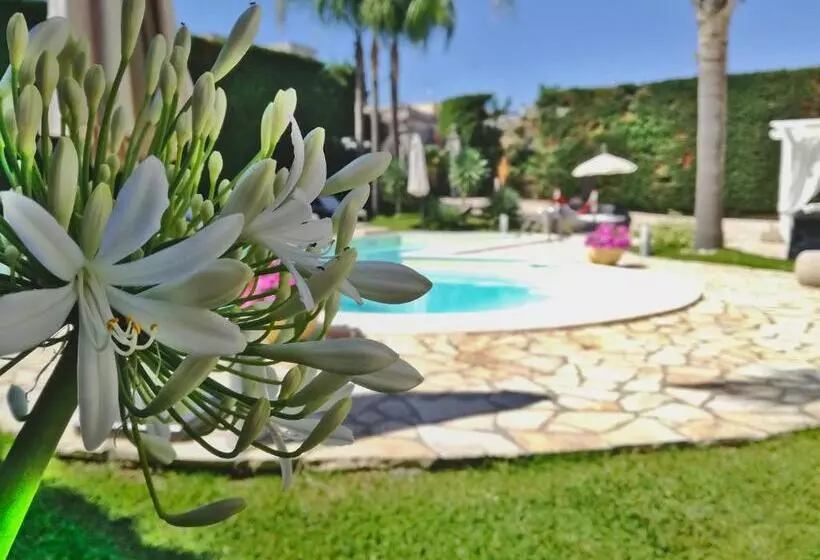 فندق Vigne Vecchie