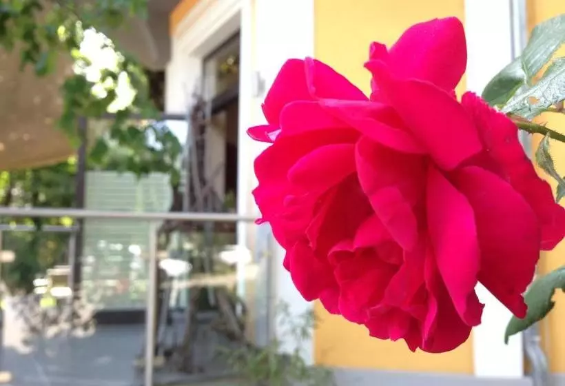 Отель Gasthof Pension Weisz Artner