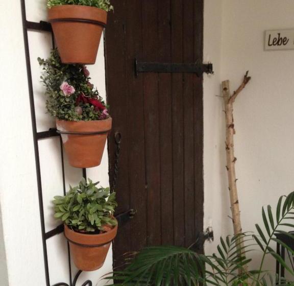 Отель Gasthof Pension Weisz Artner