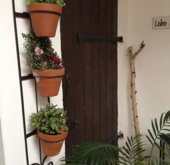 Отель Gasthof Pension Weisz Artner