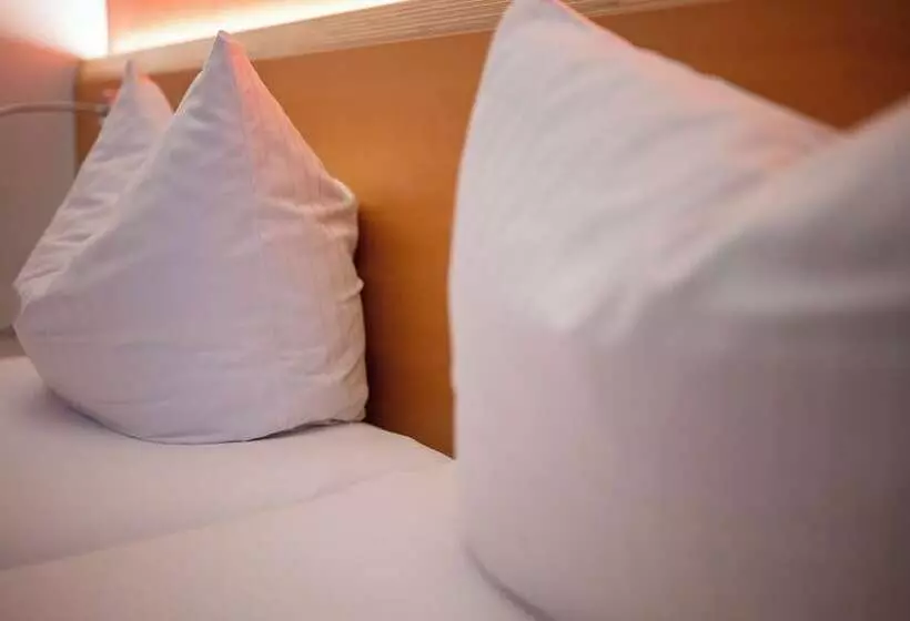 膳宿费 Schäfle Landgasthof