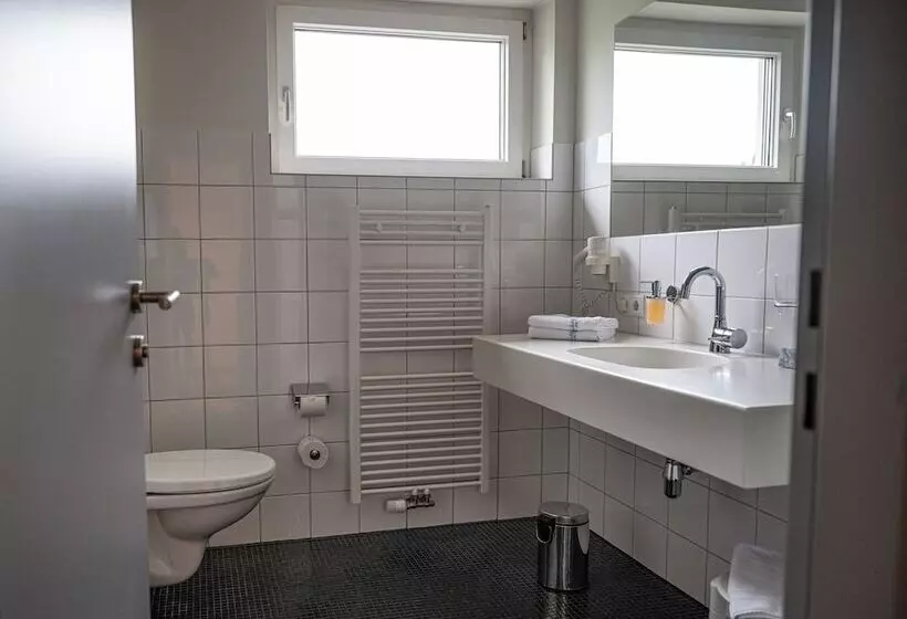 膳宿费 Schäfle Landgasthof