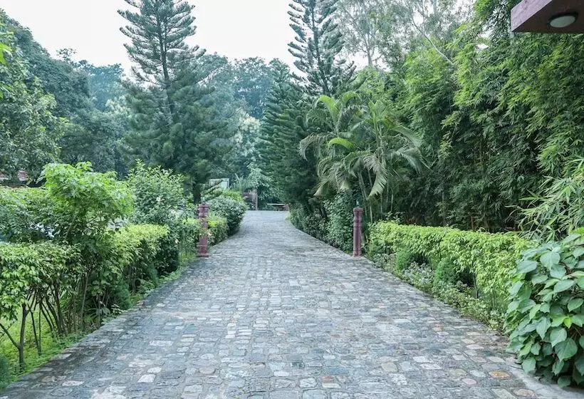 אתר נופש Riverside By Aahma