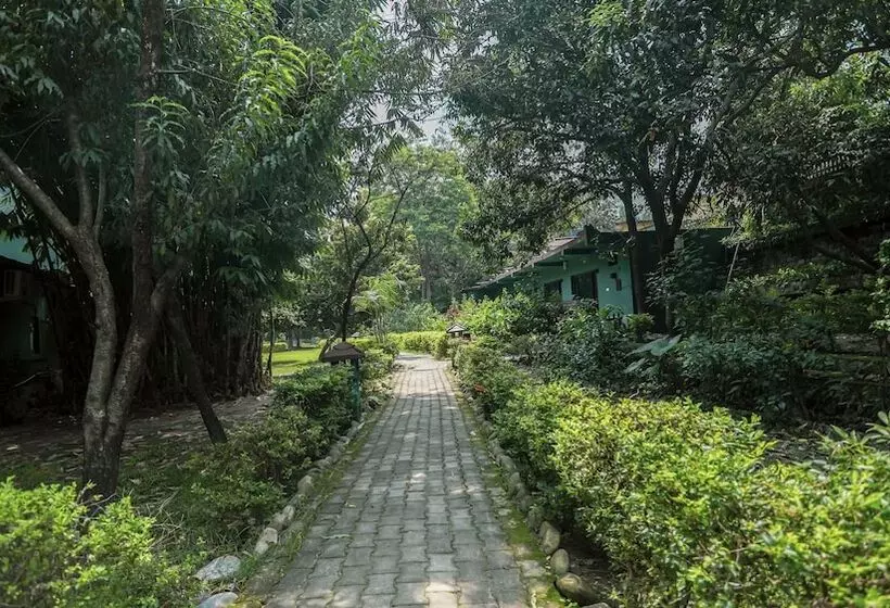 אתר נופש Riverside By Aahma