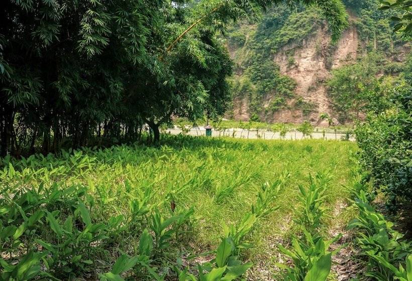 אתר נופש Riverside By Aahma