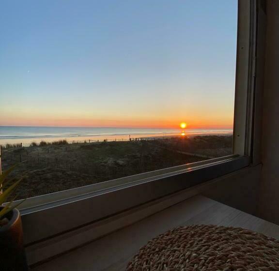 Appartement Vue Sur L Océan