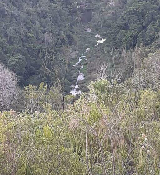Windygates Estate Room 1