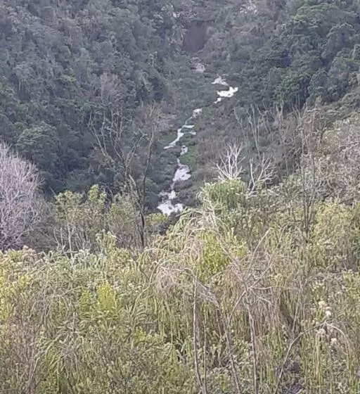 Windygates Estate Room 1
