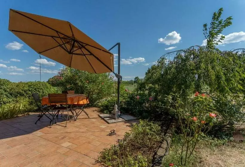 Da Dede Cozy Apt With Terrace And Private Parking!