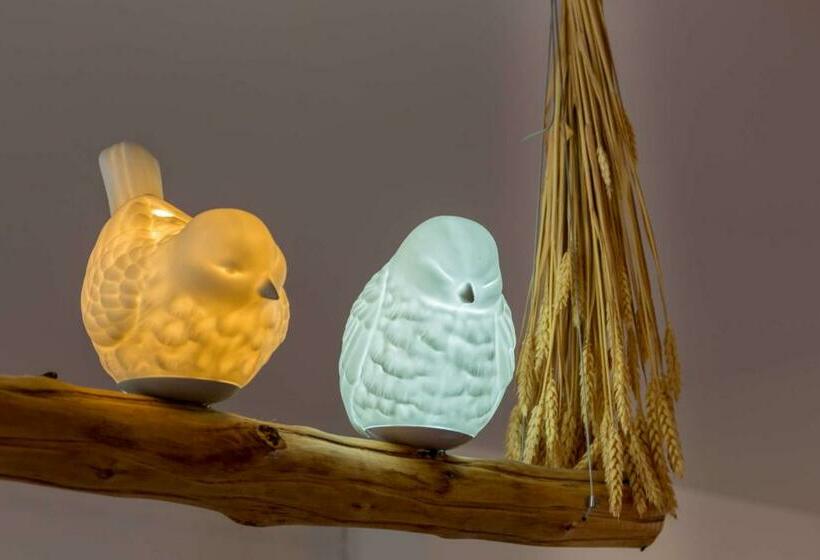 L Oiseau Blanc ~ Centre Ville ~ Arrivée Autonome