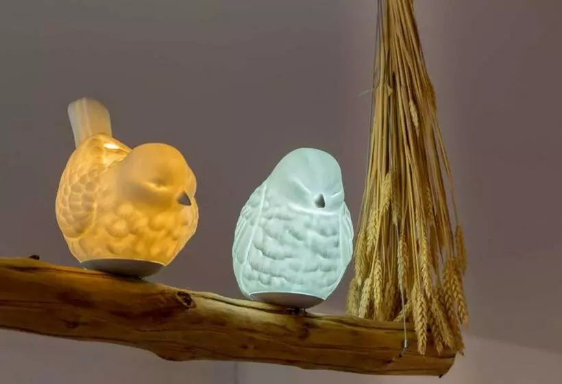 L Oiseau Blanc ~ Centre Ville ~ Arrivée Autonome