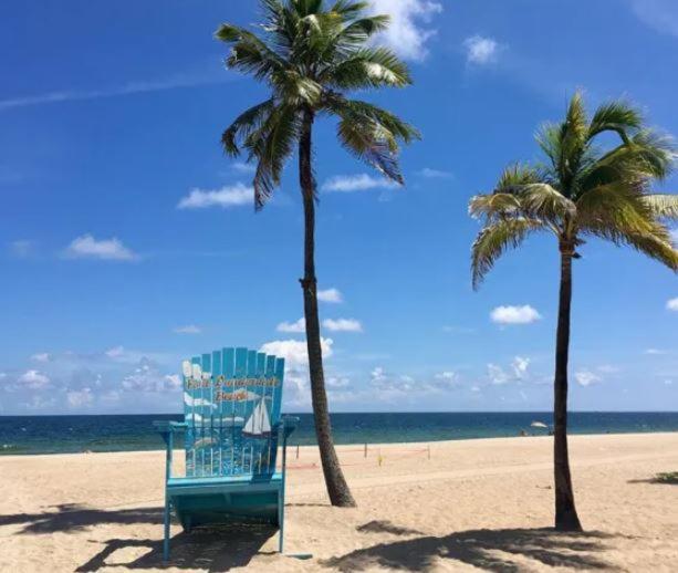 Lunasea Apt Downtown Airport Cruise