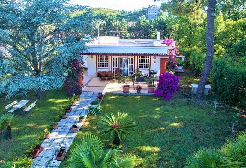 Villa Panoramica Con Piscina E Giardino Per 6 A Minturno