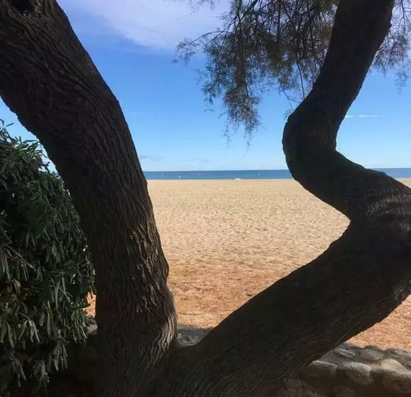 Studio Avec Jardin Front De Mer