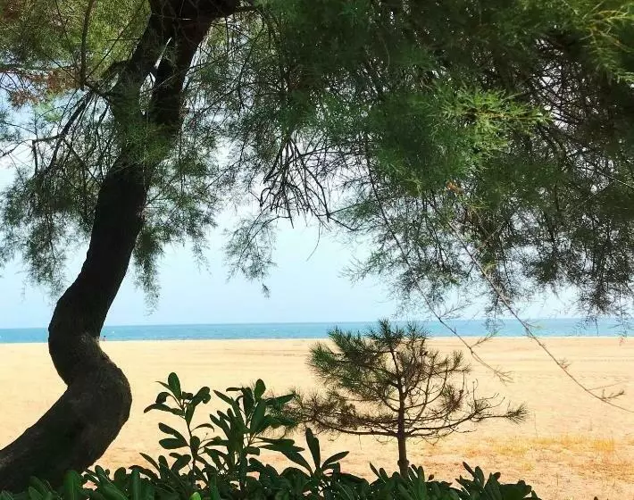 Studio Avec Jardin Front De Mer