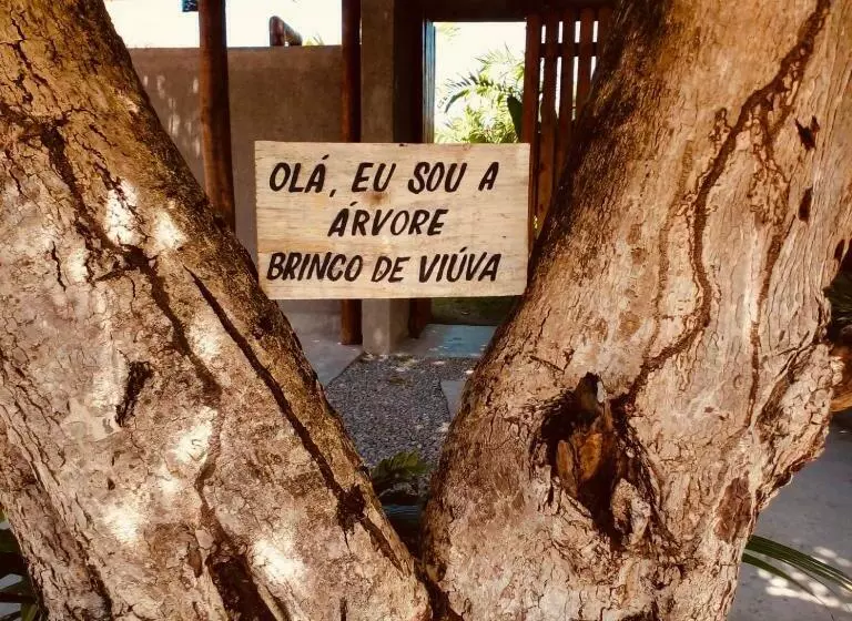 Bororo Vida  Vilinha Eco Boutique  Milagres, Praia De Tatuamunha