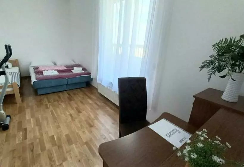 Penthouse Danube Exclusive, Parking, 90m2, Wifi