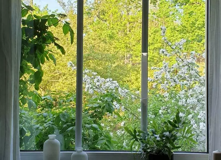 Ferienwohnung Heusler