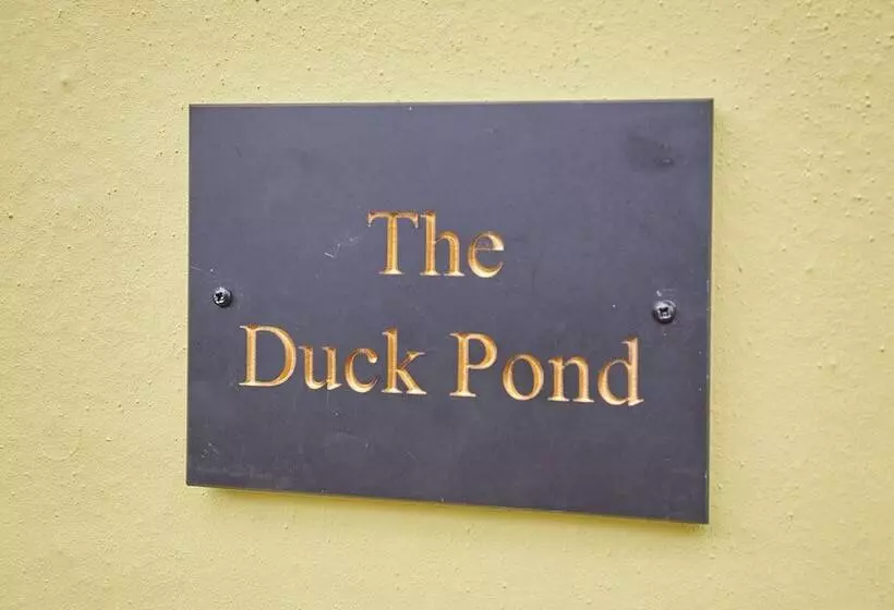 Host & Stay   The Duck Pond