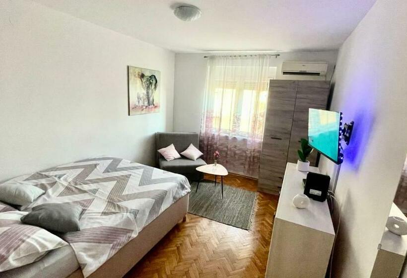Downtown Apartman T