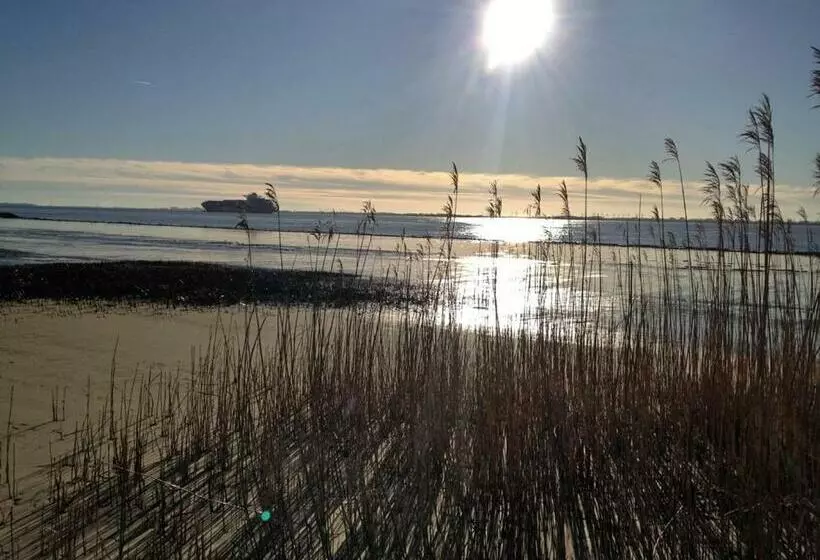 Ferienhaus Am Elbdeich