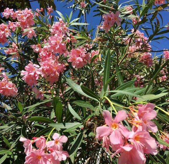 Dans Une Maison, Appartement Indépendant Et Jardin