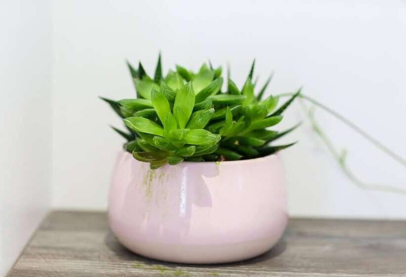 Shorebreak Bracklesham Bay Apartment