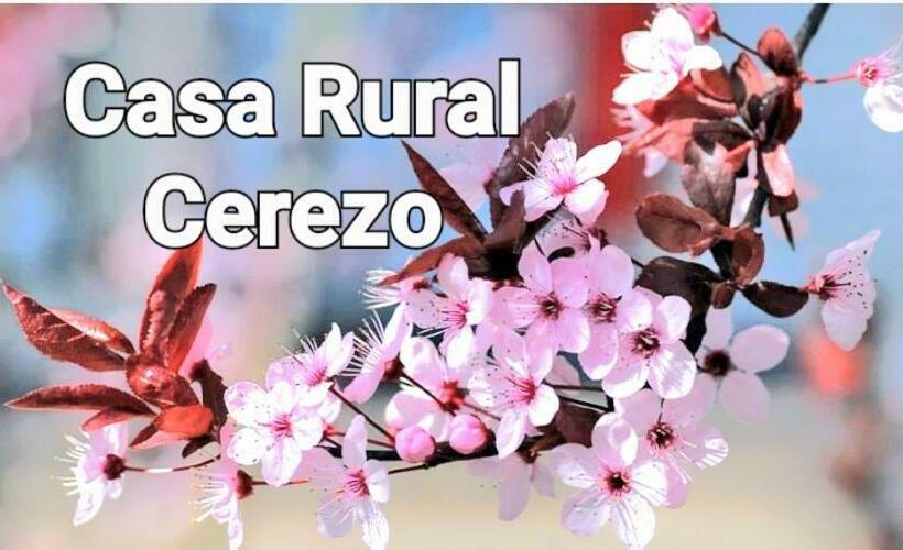 Alojamiento Rural Cerezo