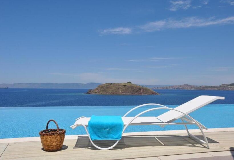 בית מלון כפרי Birds Bay