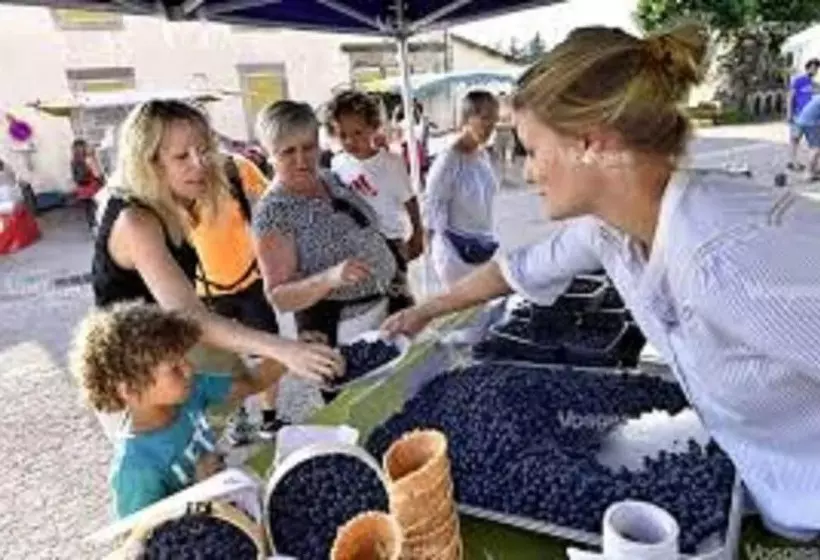 Отель Chalet Résidence La Combeauté