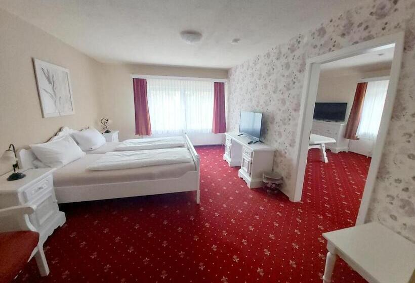 호텔 Der Muhlenhof