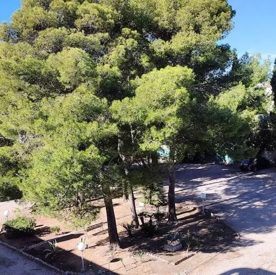 ホテル Restaurant Miramar L Orchidee