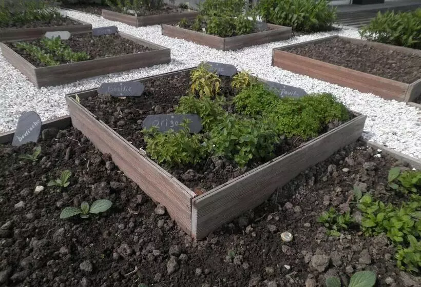 ホテル Spa Les Saules