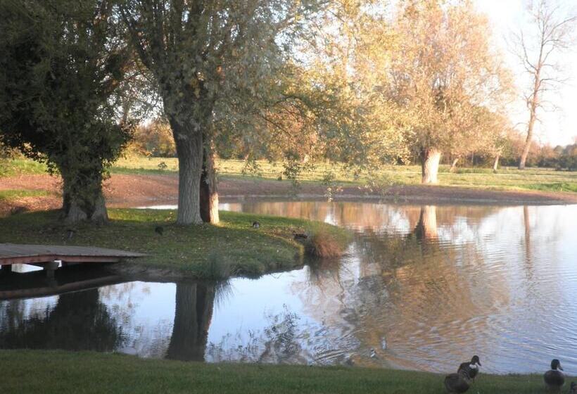 酒店 Spa Les Saules