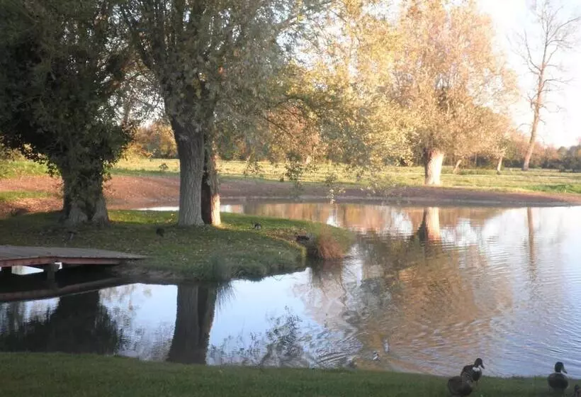 ホテル Spa Les Saules