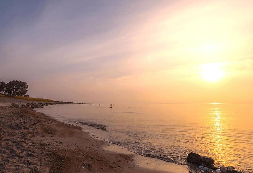 Курорт Ferienhauspark Asgard Im Dampland