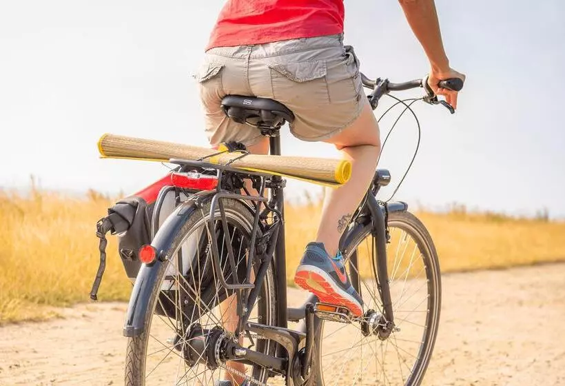 Resort Ferienhauspark Asgard Im Dampland