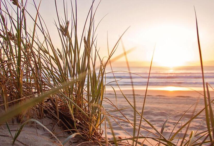 Курорт Ferienhauspark Asgard Im Dampland