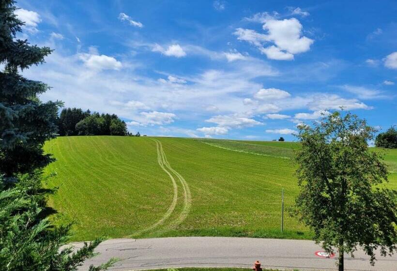 Haus Panoramablick   Fewo Kuckucksnest, Höchenschwand